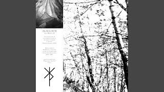 Birch Black