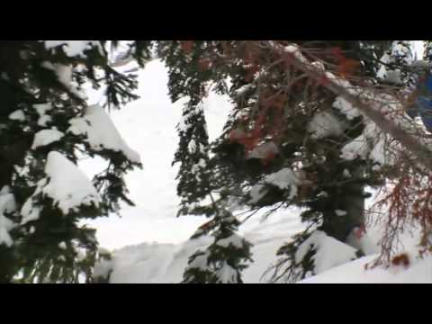 Destination: Fernie, B.C.