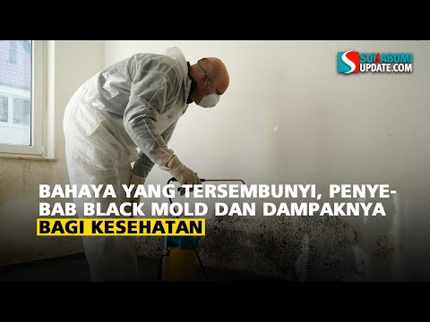 Bahaya yang Tersembunyi, Penyebab Black Mold dan Dampaknya Bagi Kesehatan