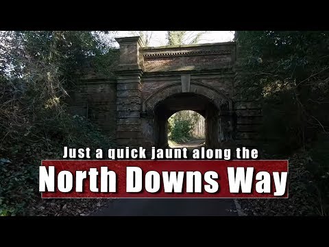 A Quick Jaunt Down the North Downs Way