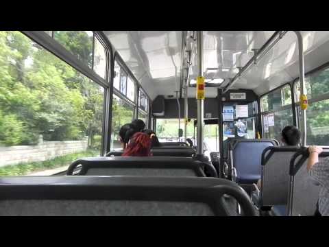 (Pt 2) Transdev NSW m/o 8848 - Mercedes-Benz O400 (ZF) (Custom Coaches 515)