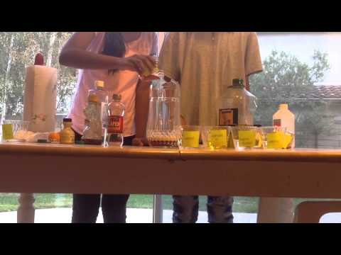 Nine layer density tower experiment by Samiksha & Catherine