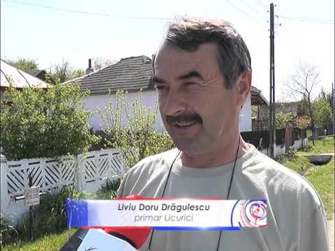 Candidează de la PSD!