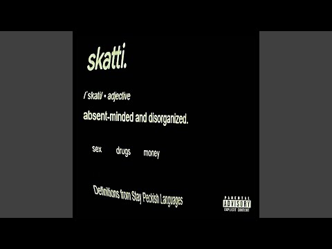 SKATTI.