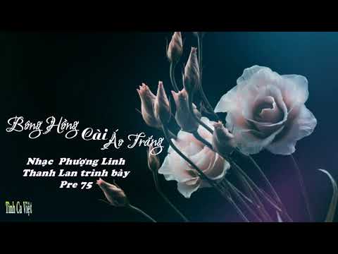 Thể hiện bởi Thanh Lan (trước 75)