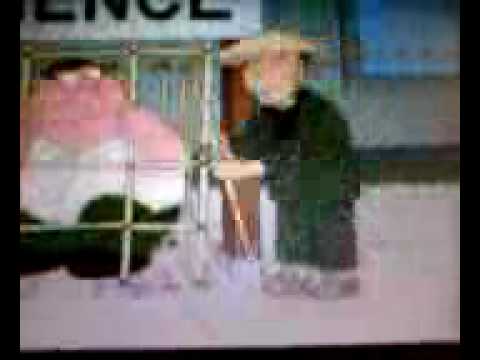 family gut- the john mccain experience