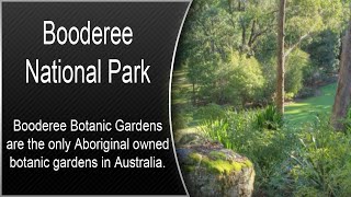 preview picture of video 'Booderee Botanic Gardens - Booderee National Park - Australian Capital Territory'
