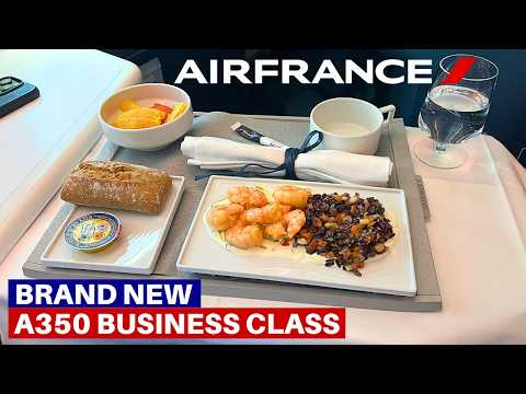 AIR FRANCE BRAND NEW AIRBUS A350-900 (Business Class) | Paris - Newark | Flight Review