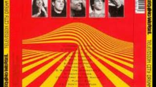 Screeching Weasel - First Day of Winter