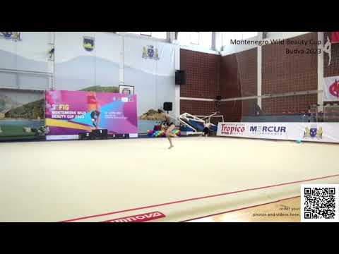 Dragovic Nina 2008 clubs