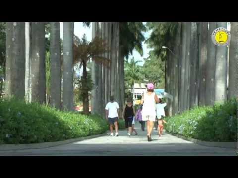 Vídeo Institucional Praia Clube legendado em inglês