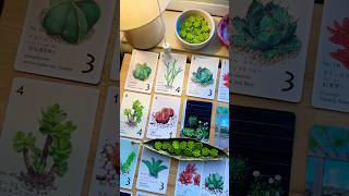 This game’s simplicity surprised me! 🌿☀️☺️❤️ #boardgames #tabletopgames #cardgames