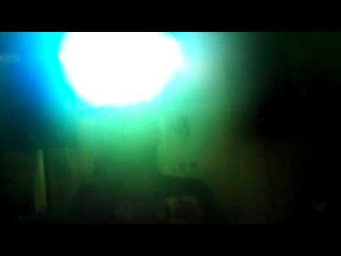 muškat hamburg@pumpa