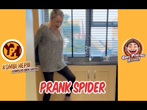 kombi-heppiii-prank-spider