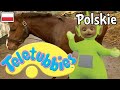 Teletubisie Po Polsku 73 DOBRA JAKOŚĆ Pełny Odcinek