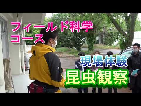 【フィールド科学コース】現場体験（昆虫観察①）