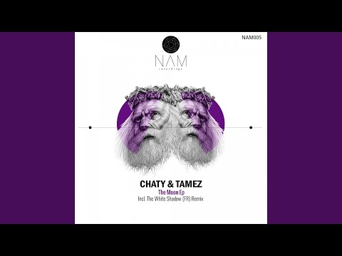 The Moon (Original Mix)