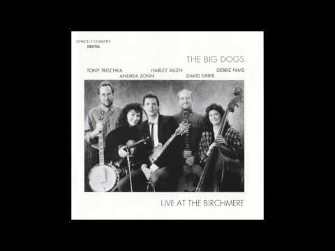Harley Allen and the Big Dogs - High Sierras