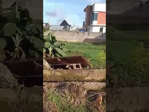 Half plot of land for sale @ORIOKE, Ejigbo