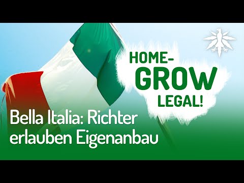Bella Italia: Richter erlauben Eigenanbau | DHV-News #232