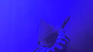 La Muerte live Essence Des Chocs @ Depot Leuven 11/3/2016