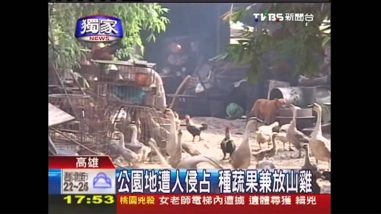 〈獨家〉公園地遭人侵占　種蔬果兼放山雞