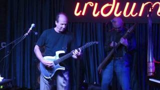 Adrian Belew and Tony Levin Duo At Iridium