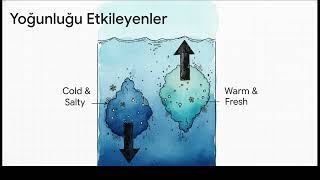 Rehber Dalıcı Eğitimi: Okyanus Fiziği, Termoklin ve Akıntı Sistemleri