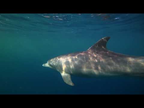 La Reunion Backpacker-Impressionen