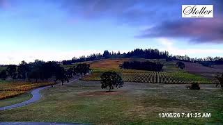 Stoller Family Estate