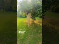 Agar Hum Kahe Aur Wo Muskura De
