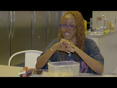 Far from their homeland, Ivorian students face the challenge of the Canadian system