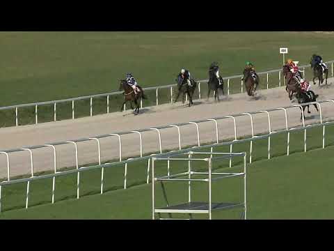 2019.08.04. 06. futam - DÁMAVERSENY HENDIKEP (V.o.) (szintetikus pálya)