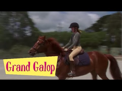 Grand Galop 114 - La Trahison | HD | Épisode Complet