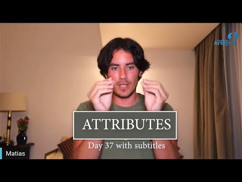 Day 37 ATTRIBUTES - Matias De Stefano - with subtitles