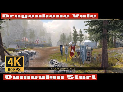 Neverwinter 2023 MMO Chronicles Dragonbone Vale Campaign Start