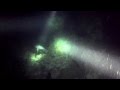 Great Barrier Reef - Night dive with sharks 