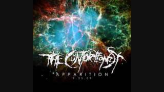 The Contortionist - Oscillator