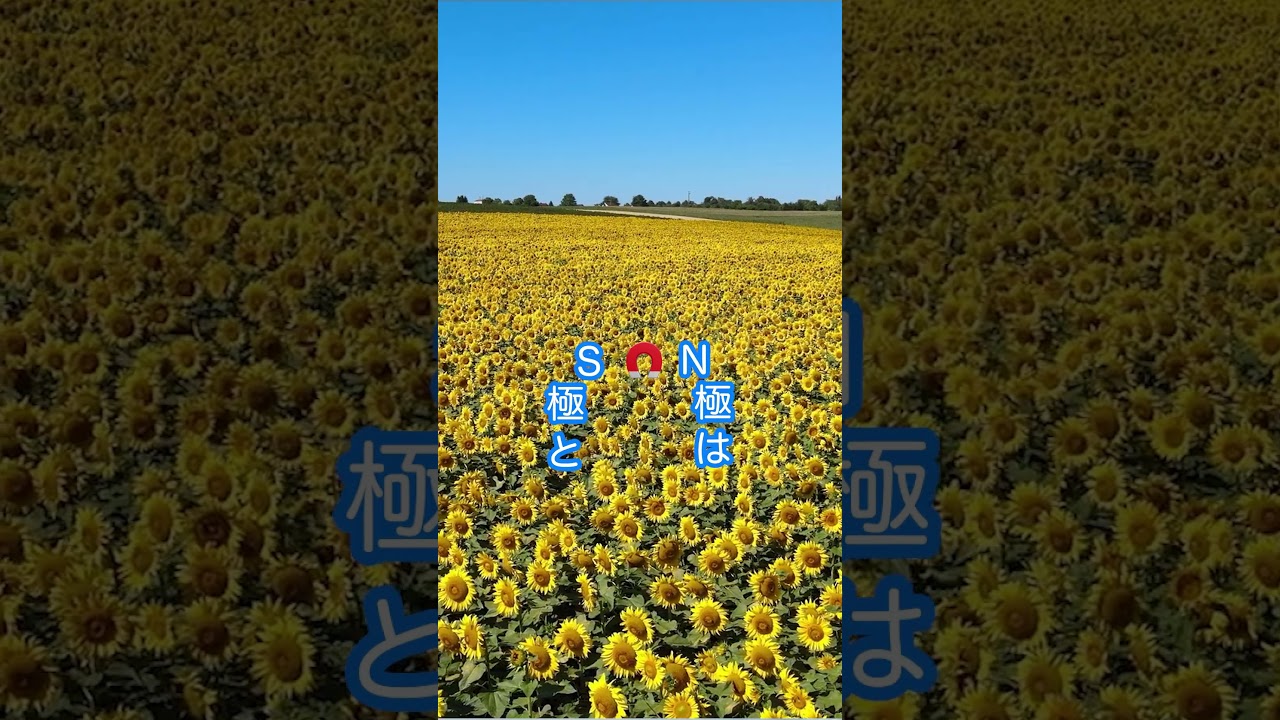 【雨衣ちゃんその１２】昨日のAmelo #雨衣 #歌詞動画