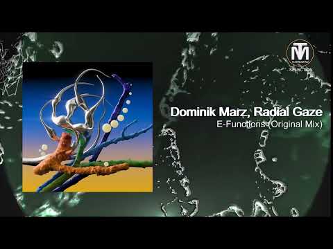 Dominik Marz, Radial Gaze - E-Functions (Original Mix) [TAU]