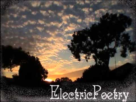 Project ab8800880088 pres. Dj Eco - Electric Poetry