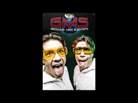 Shanti vs Space Cat - Tokidoki (GMS Remix)