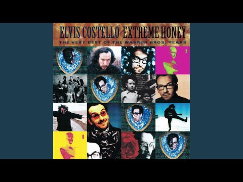 Videoclip de The Bridge I Burned — Elvis Costello