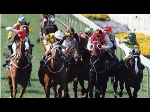 1992 MVRC W S Cox Plate