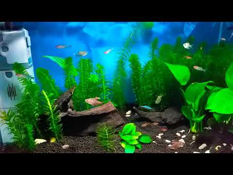 Watch Video on YouTube