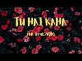 Tu Hai Kahan (feat. ZAYN)