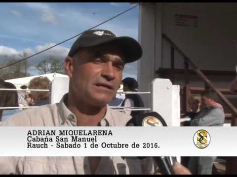 01-10-16 Nota Adrian Miquelarena - Cabaña San Manuel e Invitados - Rauch.