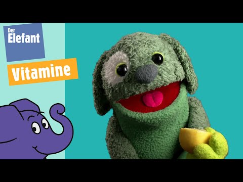 Knolle - Wo gibt es Vitamine? | Der Elefant | WDR