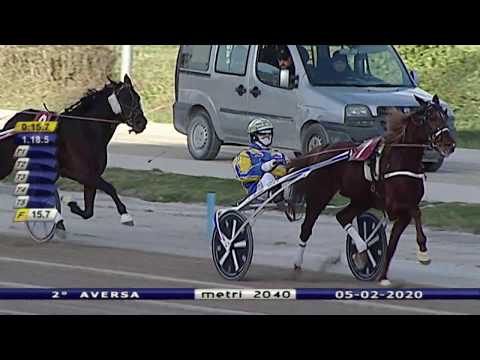 Aversa trotto 5 Febbraio 2020 - 2° Corsa