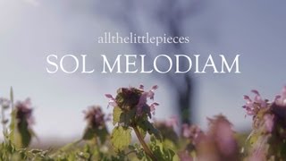 All the Little Pieces - Official Video for Sol Melodiam [HD]